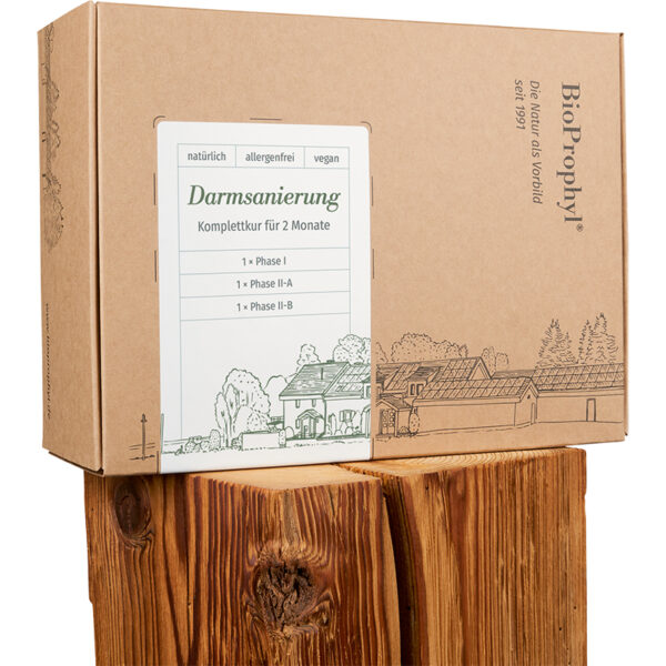 Bioprophyl Darmsanierung